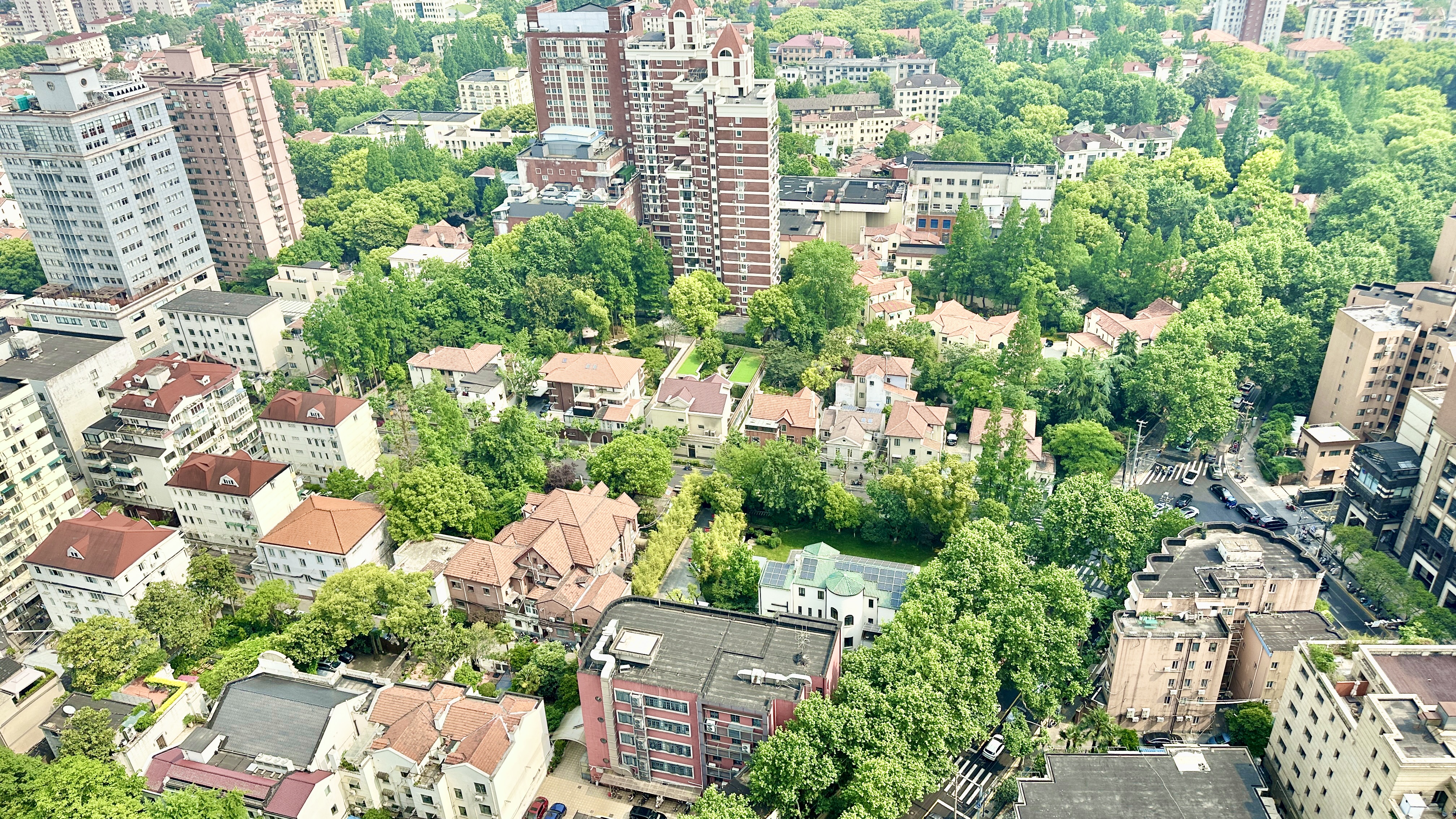 2026-05-12 142454.jpg