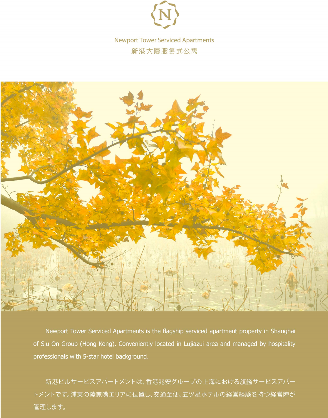 1fa040001dfd631ee5cd45339044cd31.png
